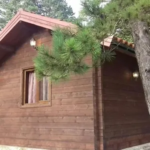 Appartement Iliria Tiny House Llogora